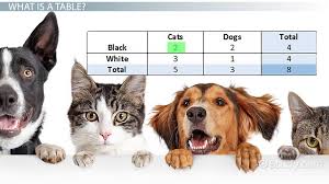 If you wish, view the instructions included in each game and learn how to devastate your enemies. The Cat Is On Top Of The Table In Spanish