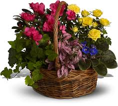 Maybe you would like to learn more about one of these? Send Flowers In E Palo Alto Ca
