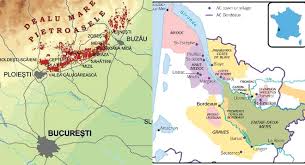 Plagiat De Imagine Paralela Intre Bordeaux Si Dealu Mare Www Provin Ro Pentru Si Despre Vin