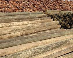 The registered agent on file for this company is duncan, brandon kirk and is located at 620 bowman rd, newland, nc 28657. Piling Poles Posts Southern Pine Lumber Company