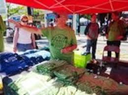 Great weather draws large crowd to eighth annual Hooley