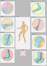 Escharotomies are usually performed in patients with circumferential third degree burns of the extremities or anterior trunk. Escharotomies Burnsplastics Your Plastic Surgery Companion