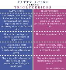 Tiada ikatan berganda dalam molekul tepu. Apakah Perbezaan Antara Asid Lemak Dan Trigliserida 2021 Berita