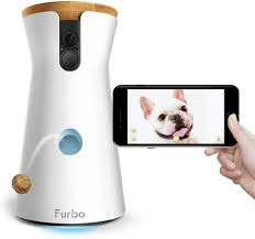 Everyone there is knowledgeable, friendly, and treats our fur babies…. Best Pet Cameras For Dog Owners The Good Kennel Guide