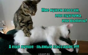 сон