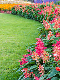 Pink and green lawn care and landscape has been keeping miami, fl and broward county beautiful by mowing one property at a time since we started our family owned and operated business back in 2009. Commercial Lawn Maintenance Wayne Nj Armando Group