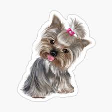 Check spelling or type a new query. Black And Tan Yorkie Gifts Merchandise Redbubble