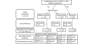 Flow Chart Of The Study Ogtt Oral Glucose Tolerance Test