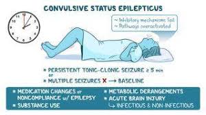Image result for Status Epilepticus