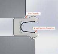 Spring Energized Seals