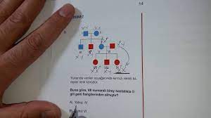 Soyagaci Sorulari Cozme Teknikleri Part 2 Youtube