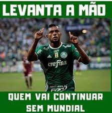 Atlético nacional vai à fifa para cobrar o palmeiras. 85 Ideias De Zoando Palmeiras Em 2021 Palmeiras Palmeiras Piada Palmeiras Zueira