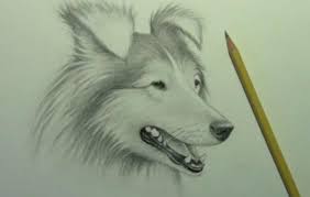 Maybe you would like to learn more about one of these? Hunde Zeichnen Fur Anfanger Zeichnen Lernen Dekoking Hund Zeichnen Hund Malen Zeichnen Lernen