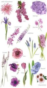 flower names by color blue wedding flowers purple wedding