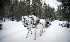 This horseback ride will take you through the meadows of the porcupine game range in big sky, montana. Big Sky Montana Sleigh Rides Alltrips