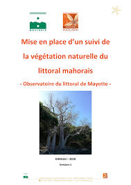 Image result for Erythroxylum platycladum