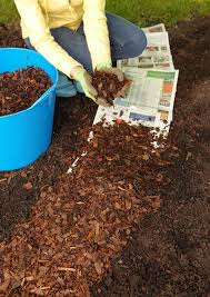 Know These Garden Basics And You Ll Have The Best Garden On The Block Garden Mulch Gardening Tips Amazing Gardens