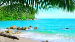 Check spelling or type a new query. Beach Loop Youtube