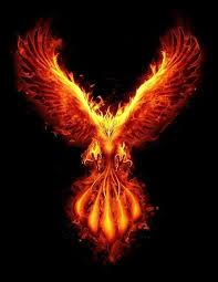 Pin By Tammy Lynn On Burn Reborn Rise Phoenix Artwork Phoenix Bird Art Phoenix Wallpaper