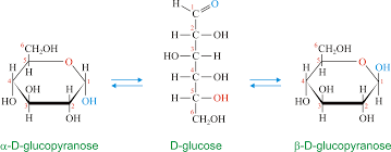 For faster navigation, this iframe is preloading the wikiwand page for anomère. Chemistry Glossary Search Results For Anomer