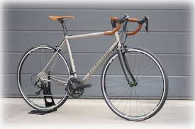 Velocini Natural Mobility