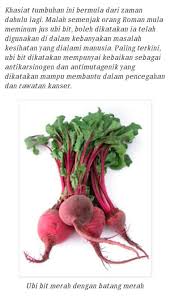 Ubi ungu juga bisa diolah menjadi berbagai macam jajanan dan makanan yang tentunya. Telah Terbukti Khasiat Dan Bayane Warrior Kuala Lumpur Facebook