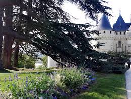 International Garden Festival Garden Design