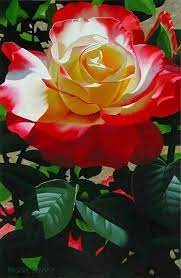 Every year, regardless of which flowers i plant or how much i neglect them, that fabulous trio of winged creatures always finds them. Beautiful Purple Flowers For Your Garden Jessica Paster Beautiful Rose Flowers Love Flowers Beautiful Roses