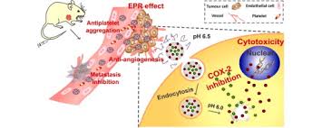 With age, the risk of cancer increases even among those who have never had cancer. A Ph Sensitive Nanotherapeutic System Based On A Marine Sulfated Polysaccharide For The Treatment Of Metastatic Breast Cancer Through Combining Chemotherapy And Cox 2 Inhibition Acta Biomaterialia X Mol