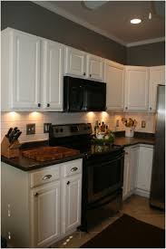 100 What Color Kitchen Cabinets Go With Black Appliances Small Kitchen Remodel Ideas On Budget Kitchen Remodel Black Appliances Kitchen New Kitchen Cabinets
