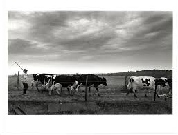 Southern Agriculture Oral History Project Records