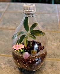 How To Make A Coke Bottle Terrarium Adirondack Girl Heart Plastic Bottle Flowers Coke Bottle Crafts Bottle Terrarium