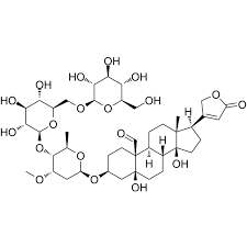 Image result for Strophanthus kombe