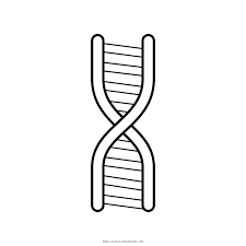 Dna structure coloring page from biology category. Dna Coloring Page Ultra Coloring Pages