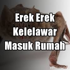 Maybe you would like to learn more about one of these? Erek Erek Kelelawar 2d 3d 4d Masuk Rumah Malam Hari Paradoks