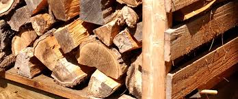 Which Wood Is Best For Firewood Tips For Eco Friendly Heat