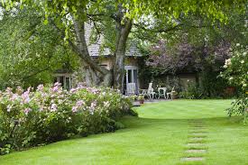 Bäume sind immer ein blickfang in einem garten, allein schon wegen ihrer wuchshöhe. Garten Planung Fehler Vermeiden Baum Rasen Sommer Franks Kleiner Garten Willkommen In Franks Kleinem Garten