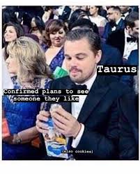 Taurus Memes Taurus Memes Taurus Zodiac Facts Taurus Personality