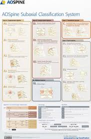 Image result for Subaxial Injury Classification Scale