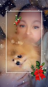 Stevie Nicks The Pomeranian