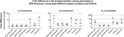 The Impact Of Different Human Igg Capture Molecules On The Kinetics Analysis Of Antibody Antigen Interaction Sciencedirect