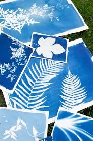 You will need a few supplies to make this one but they are inexpensive. How To Make Sun Prints From Any Object In Your Home Or Yard Sun Prints Kids Art Projects Art For Kids