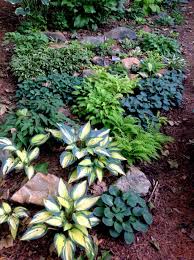 10 Shaded Rock Garden Ideas Stylish And Also Lovely Shade Garden Design Shade Garden Rock Garden
