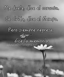 Pin En Frases