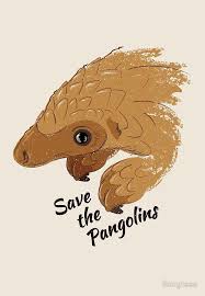Baby Pangolin Art Endangered Species Art Pangolin Art Animal Conservation Art