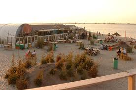 12 Sweet City Beaches City Beach Amsterdam City Amsterdam