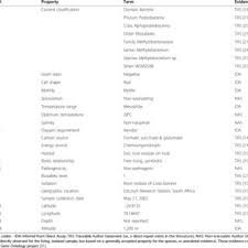 Image result for Dichilus bainesii