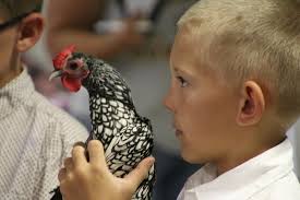 Platte County students do well at Wyoming State Fair