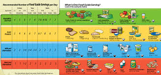 Image result for Nutrition Guidelines