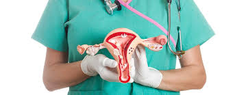This hd wallpaper anatomy of female abdomen has viewed by 820 users. Anatomy Of Female Pelvic Area Johns Hopkins Medicine